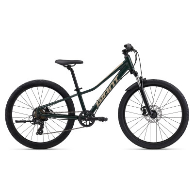 GIANT TALON 24 DISC 2024 GIANT TALON 24 DISC 2024