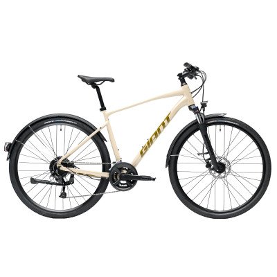 VTC Giant Roam EX Almond – Vélo tout chemin polyvalent