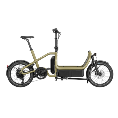 Riese & Müller Carrie Touring Anise – Vélo cargo famille