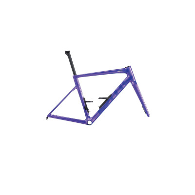 Cadre BMC Teammachine SLR 01 – Carbone performance route