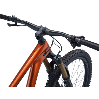 Giant Reign Advanced Pro 29 1 Enduro