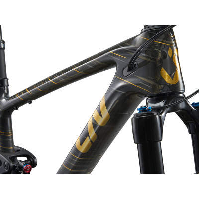 Liv Pique Advanced 29 1 VTT Femme - Gloss Raw Carbon