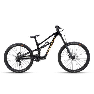 Polygon Collosus N8 – VTT enduro carbone
