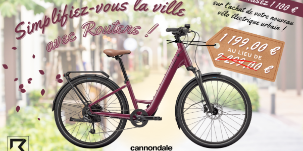 Du jamais vu chez Routens : Votre VAE d'une grande marque à un prix exceptionnel !